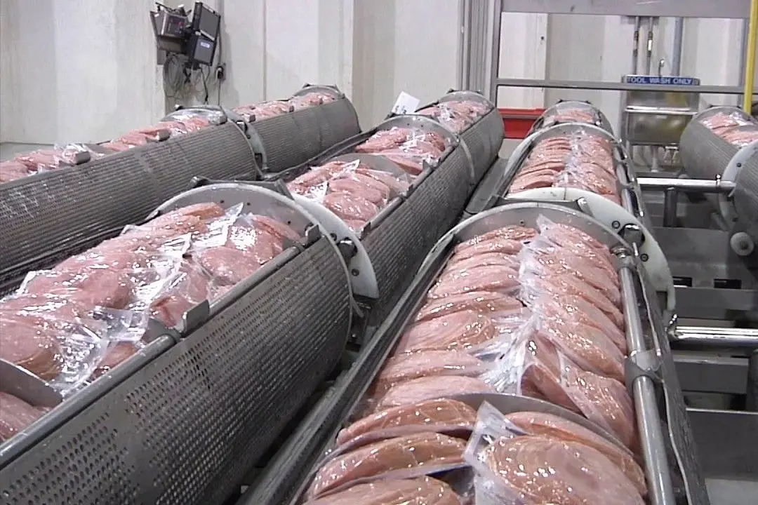 A bioreactor used in the cultivation of lab-grown meat cells.