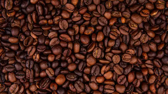 Kopi Robusta