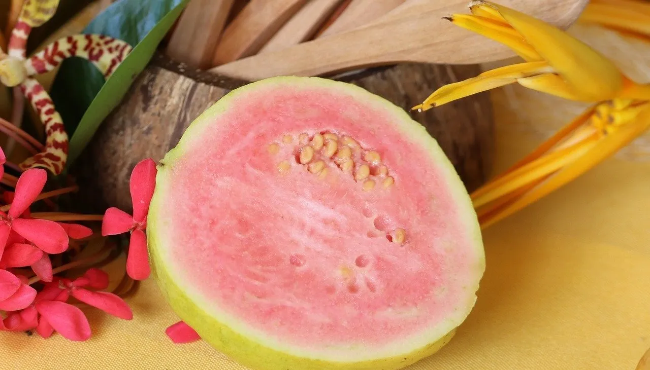 Manfaat Jambu Biji