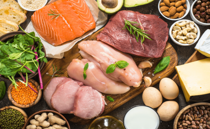 Protein Hewani