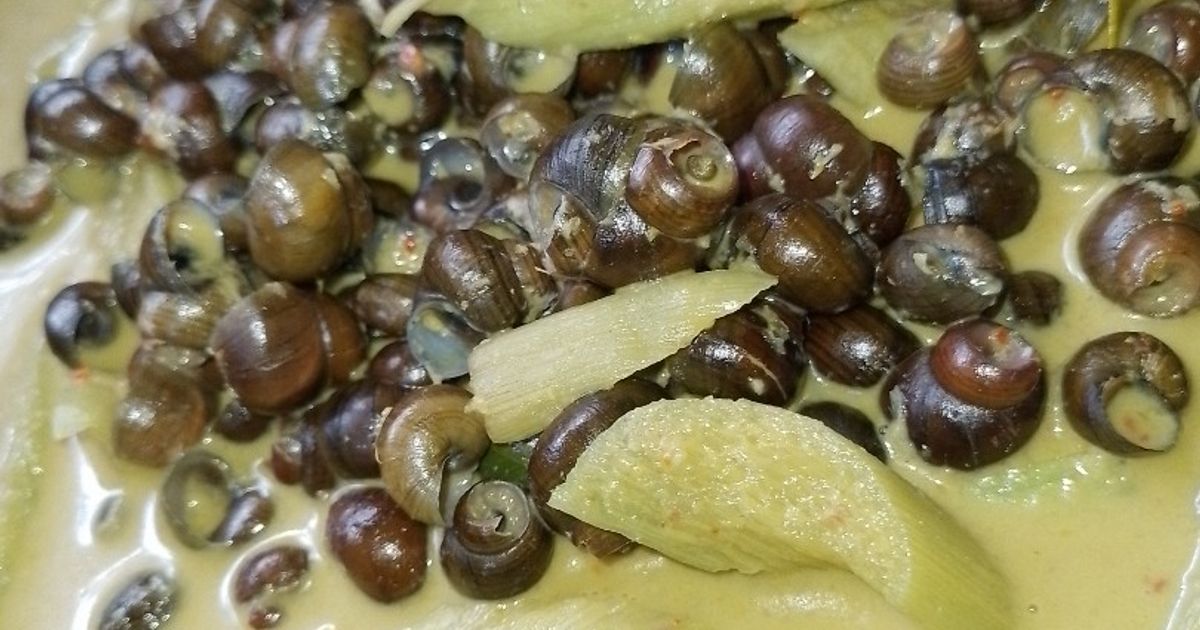 Gulai Siput